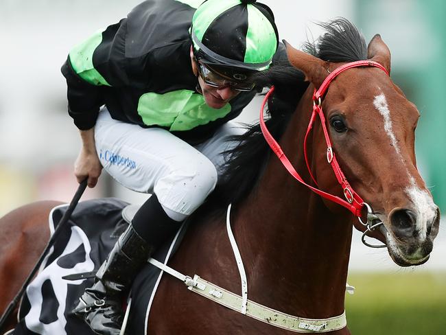 SYDNEY, AUSTRALIA - MAY 23:  Sam Clipperton riding Stockman wins Race 3ÃÂ Sporting Chance Cancer Foundation Handicap during Sydney Racing at Royal Randwick Racecourse on May 23, 2020 in Sydney, Australia. (Photo by Mark Metcalfe/Getty Images)