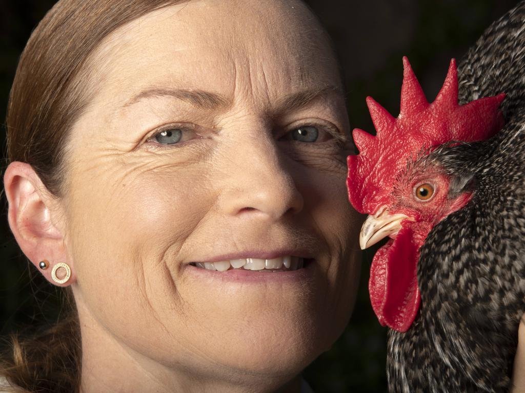 Tracey Cordwell readies her Pekin Bantams for Royal Hobart Show | The ...