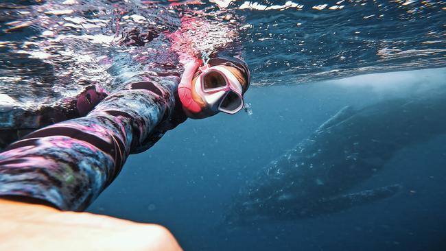 Freediver Adam Sellar reveals plans for Australian-first whale retreat on the Sunshine Coast.