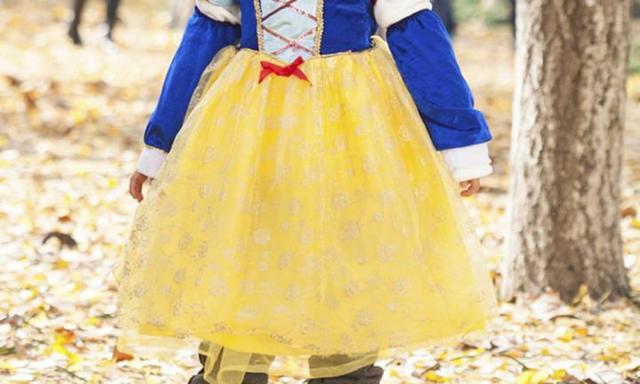 NSW girl in princess costume indecently assaulted by stranger