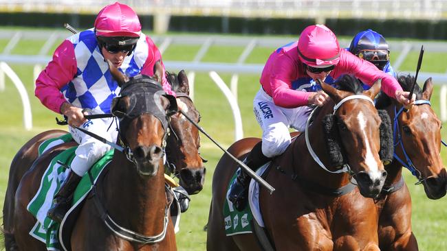 Toulon Brook (left) brought his good country form to Randwick in the Highway Handicap. Picture: AAP