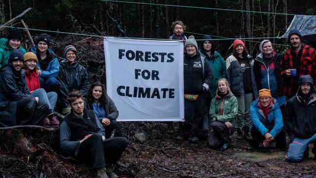 Activists have taken to the trees near Dover, in the Esperance forests to protest native logging.