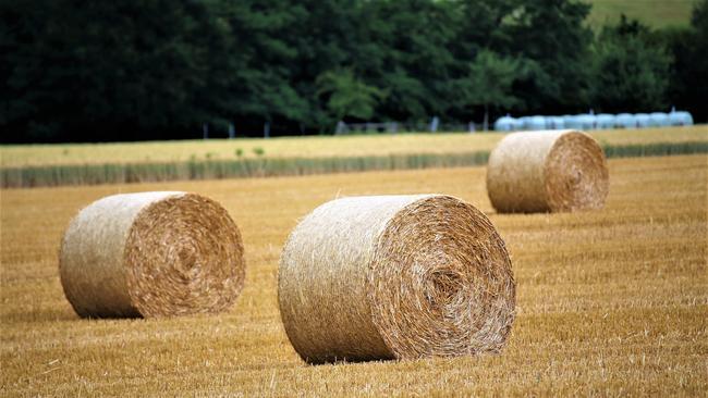 bales of hay