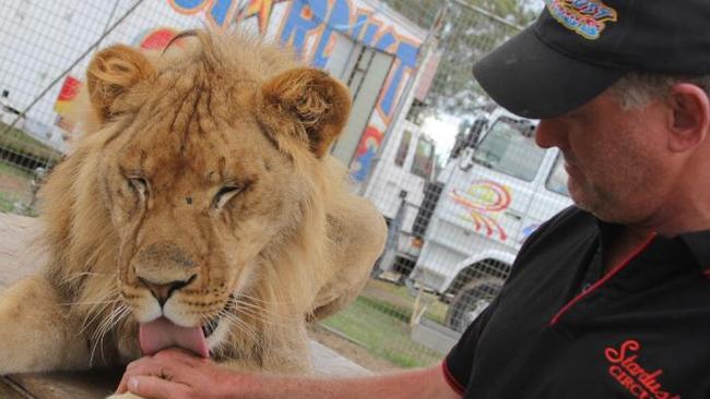 General Manager of Stardust Circus, Glenn West with Massai the lion.