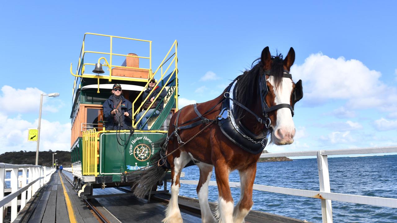 Marine life killer forces closure of beloved tourist spot