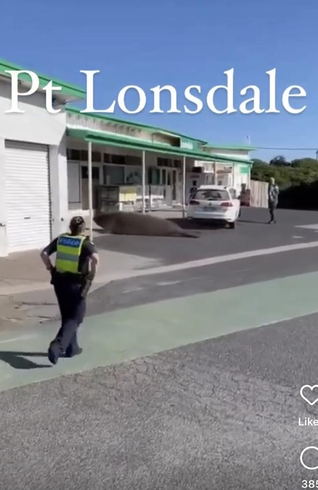 Henry the seal had a police escort for part of his journey. Picture: Instagram/@jacquifelgate