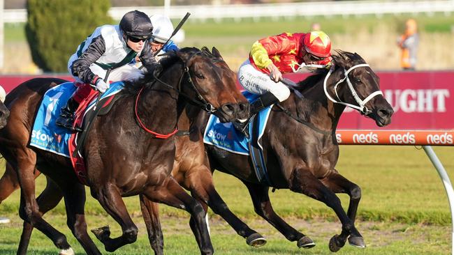 Princess Grace (red and yellow) was runner-up in the Memsie Stakes behind Mr Brightside last start. Picture: Scott Barbour-Racing Photos via Getty Images