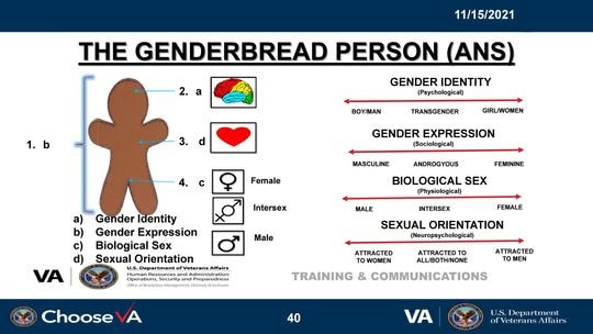 The Department of Veterans Affairs has a gender gingerbread person. Picture: WSJ/Supplied