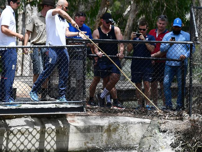 Moeen Ali has been warned not to play with dangerous animals.