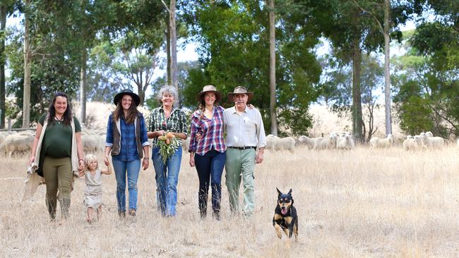 Michelle, Laura, Hannah, Jill, Kristy and Andrew Stewart. Picture: Andy Rogers