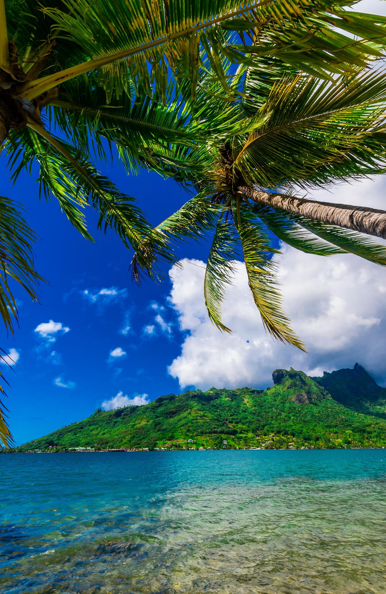 Three accommodation options if you plan on holidaying in Tahiti | escape