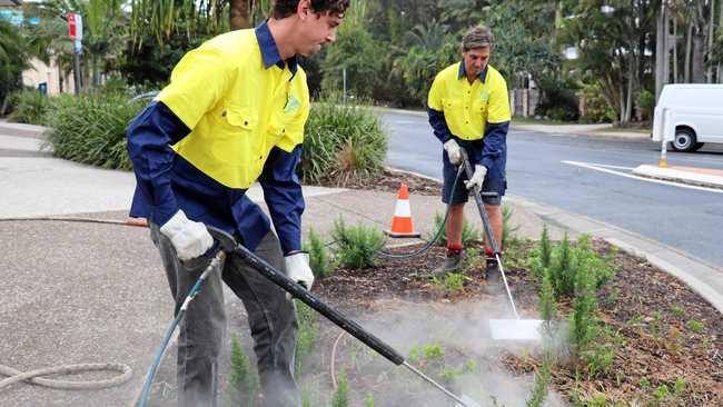 Byron Shire Council is using steam to rid their region of weeds, rather than glyphosate. Picture: Byron Shire Council