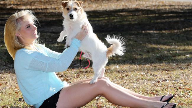 Hannah Scholar with Jackl at Musgrave Dog Park. Picture: Glenn Hampson