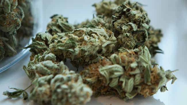 There is a push to recognise medical cannabis as a viable treatment for veterans’ PTSD.