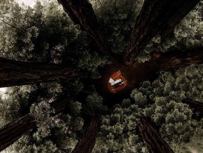 Elisabetta Redaelli from Lilly Red Creative saw the perfect shot of this couple higher up at Glen Oaks, Big Sur in California.