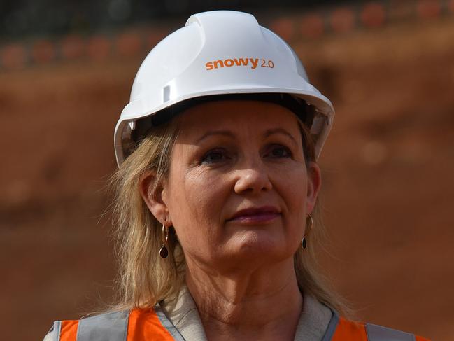 Minister for the Environment Sussan Ley will convene a meeting on cultural heritage issues raised by the Rio scandal. Picture: AAP