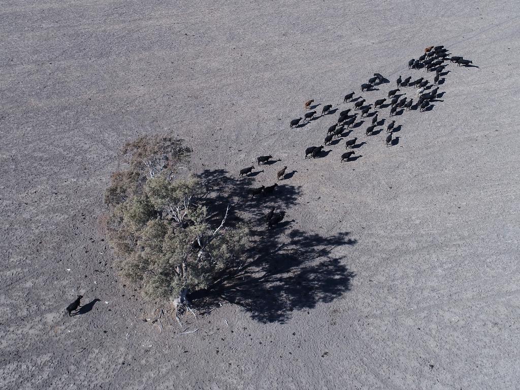 Aerial view of Keith Wood's property 100km west of Moree. Picture: Sam Ruttyn