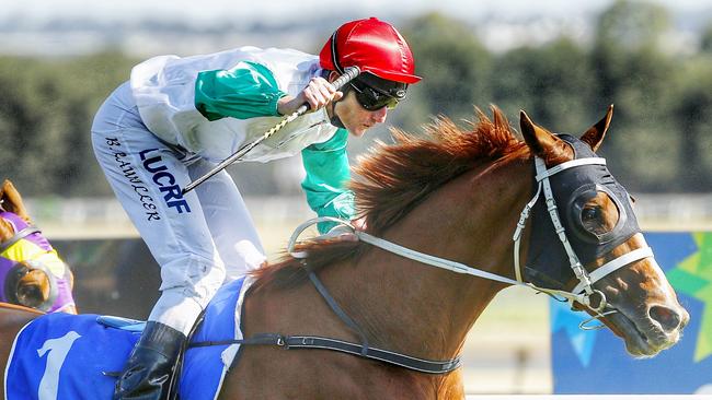 Junoob will be suited by the drop back in grade at Randwick on Saturday. Picture: Colleen Petch