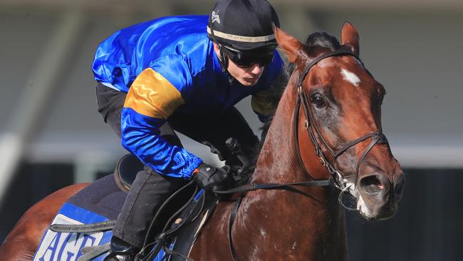 Santa Ana Lane hasn’t won since taking out the TJ Smith Stakes last year. Picture: Getty Images