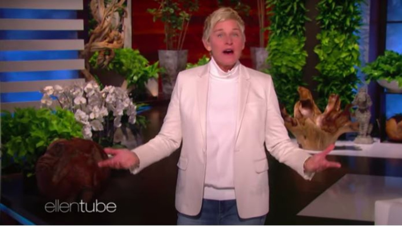 Ellen should embrace the proverbial third nipple. Picture: YouTube