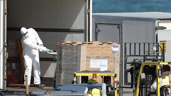 Dock workers in protective clothing take supplies aboard the MSC Magnifica at Fremantle port. Picture: Getty Images