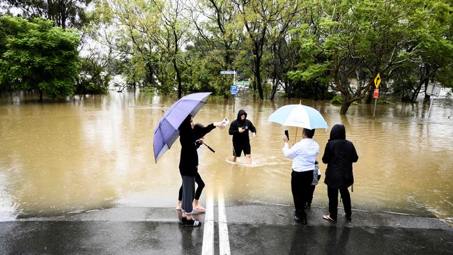 People viewing the Nepean flooded river in 2021. Picture: Darren Leigh Roberts