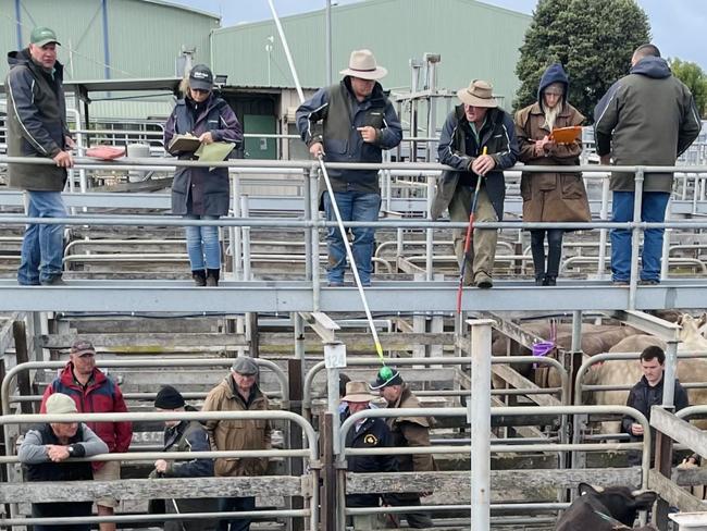 Final sales were made at the Warrnambool Livestock Exchange on Wednesday.