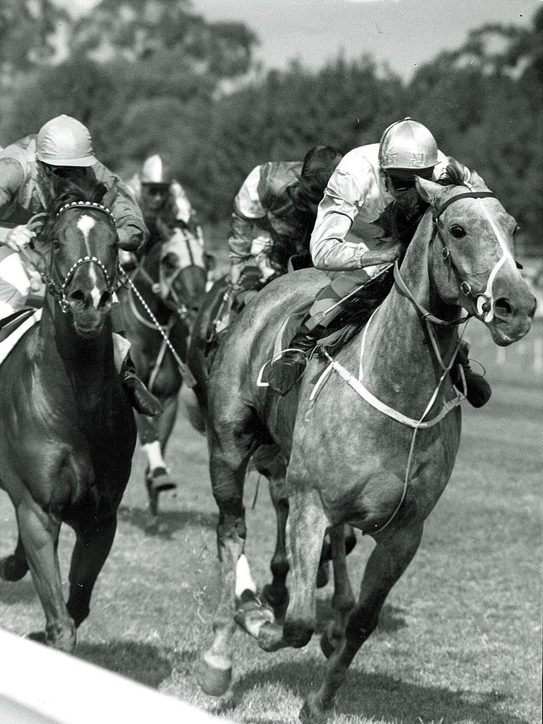 Emancipation, ridden by Ron Quinton, wins the 1984 Chipping Norton Stakes.