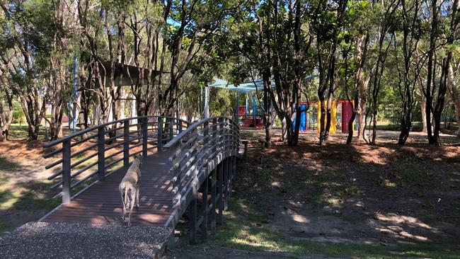 Off to the playground. Picture: Amanda Robbemond