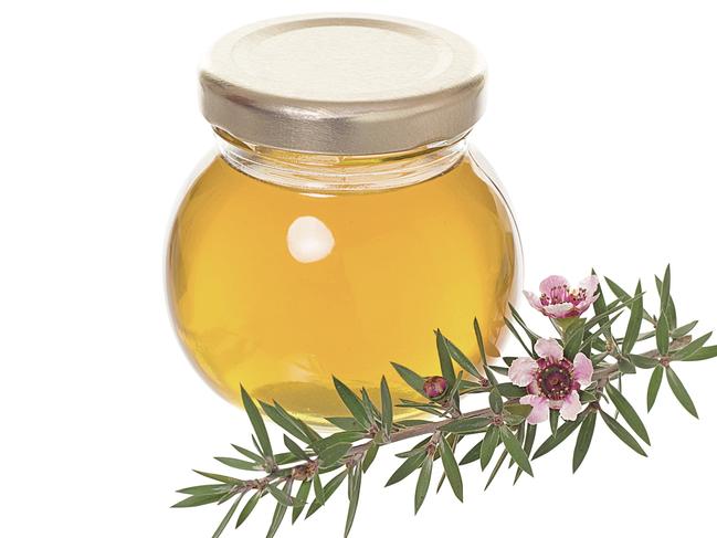 Embargoed for Body and Soul Oct 16. Golden honey with a spring of manuka or New Zealand tea tree bush.