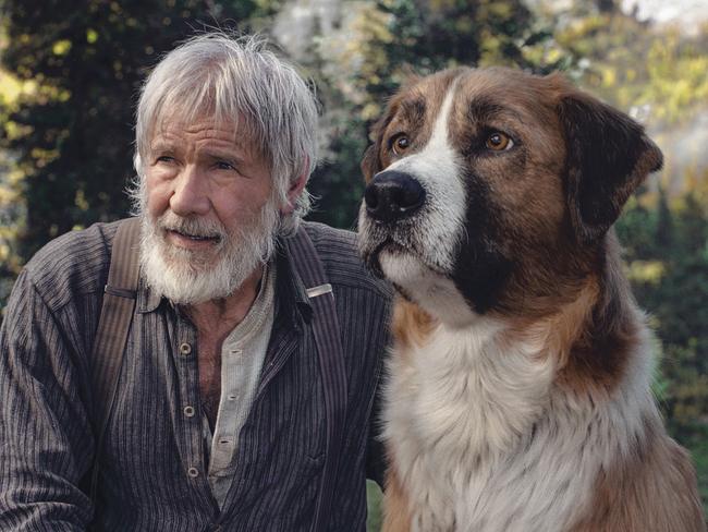 Harrison Ford in a scene from the movie The Call of the Wild. Picture: Twentieth Century Fox.