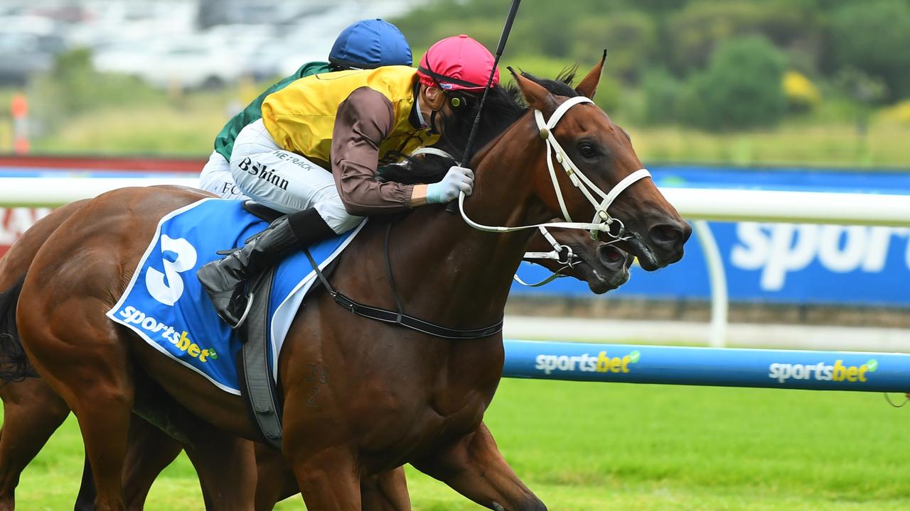 Field Of Play has drawn barrier five in the Blue Diamond Stakes. Picture: Vince Caligiuri/Getty Images