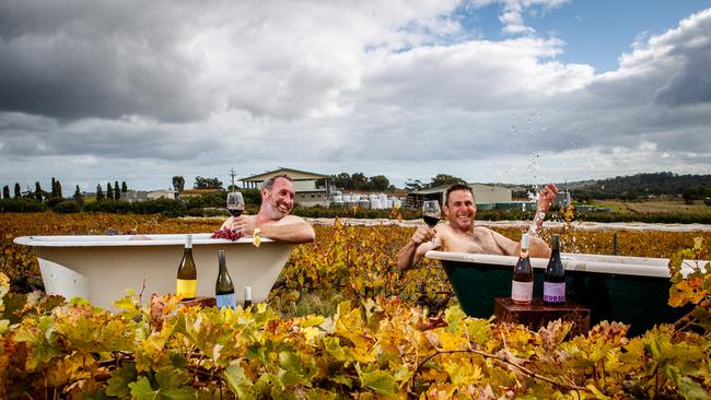 McLaren Vale grape and fruit grower Mark McCarthy with winemaker Alex Sherrah at McCarthy's Orchard. Picture: Matt Turner