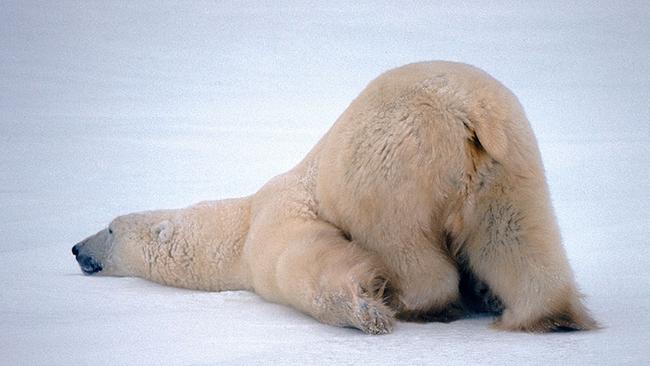 Somebody, kill me. Please... Pic via Getty Images.