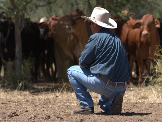 EMBARGO FOR GREEN LIST, 22 NOVEMBER 2024. Andrew Lawrie and Meagan Lawrie at their Moora Plains property. Photo: Supplied