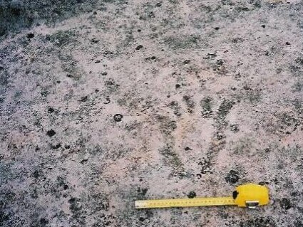 A footprint engraving within the proposed 'Lizard Rock' development at Belrose on 71ha of land owned by the Metropolitan Local Aboriginal Land Council. Picture: Cox Architecture