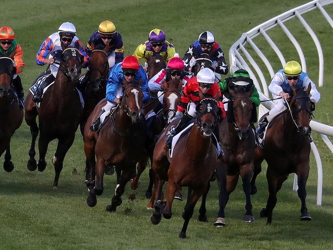 The thoroughbred meeting at The Valley has been called off due to the extreme heat forecast.