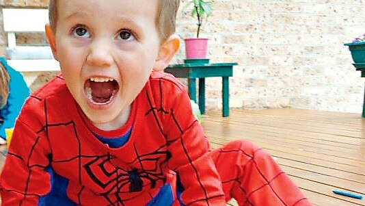 William Tyrrell went missing in 2014. (Picture: Supplied)