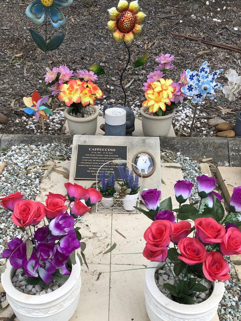 Cappuccino’s devoted owners leave bright flowers at the grave.