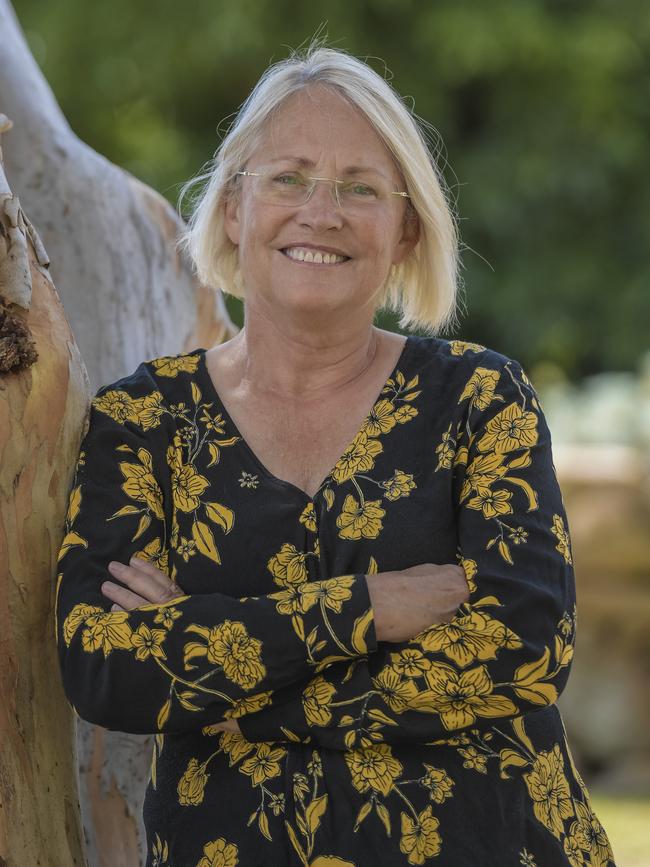 Former Labor MP Annabel Digance. Picture: Roy VanDerVegt