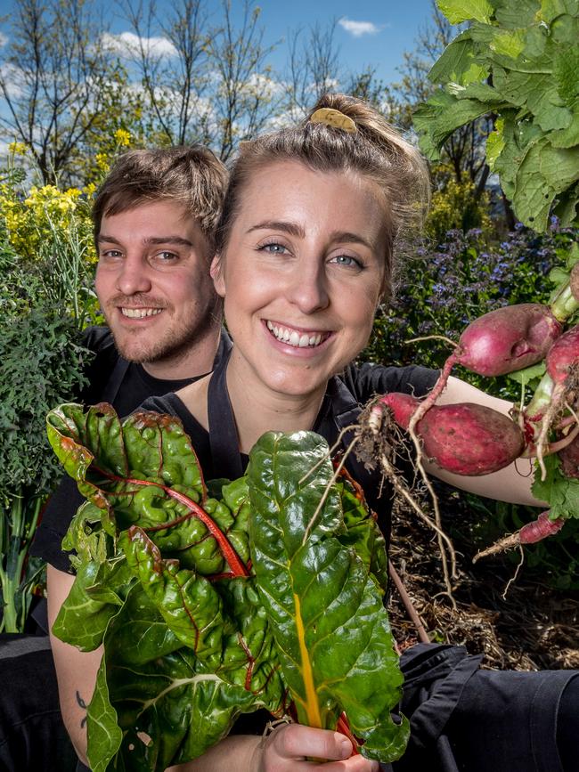 Chefs Matt Stone and Jo Barrett in their kitchen garden at Oakridge. Picture: Jake Nowakowski