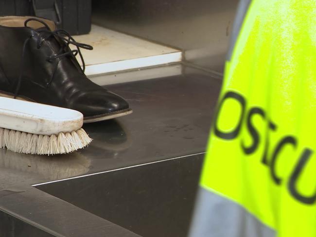 Video grab of footage of the biosecurity measures from Sydney International Airport shot 26th of July 2022 , Picture: Department of Agriculture, Fisheries and Forestry