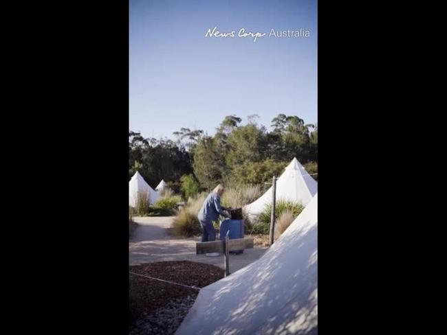 Ariarne Titmus wants Tassie to holiday at home