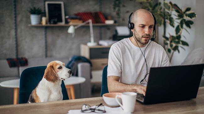 Increasingly people are working from home at least one day a week. Picture: iStock. .