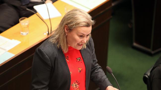 Labor member Anita Dow in state parliament.