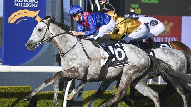 Benaud and Dylan Gibbons were victorious in the 2023 Wyong Gold Cup. Picture: Bradley Photos
