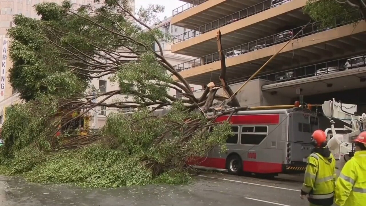 California begins clean up amid more rain