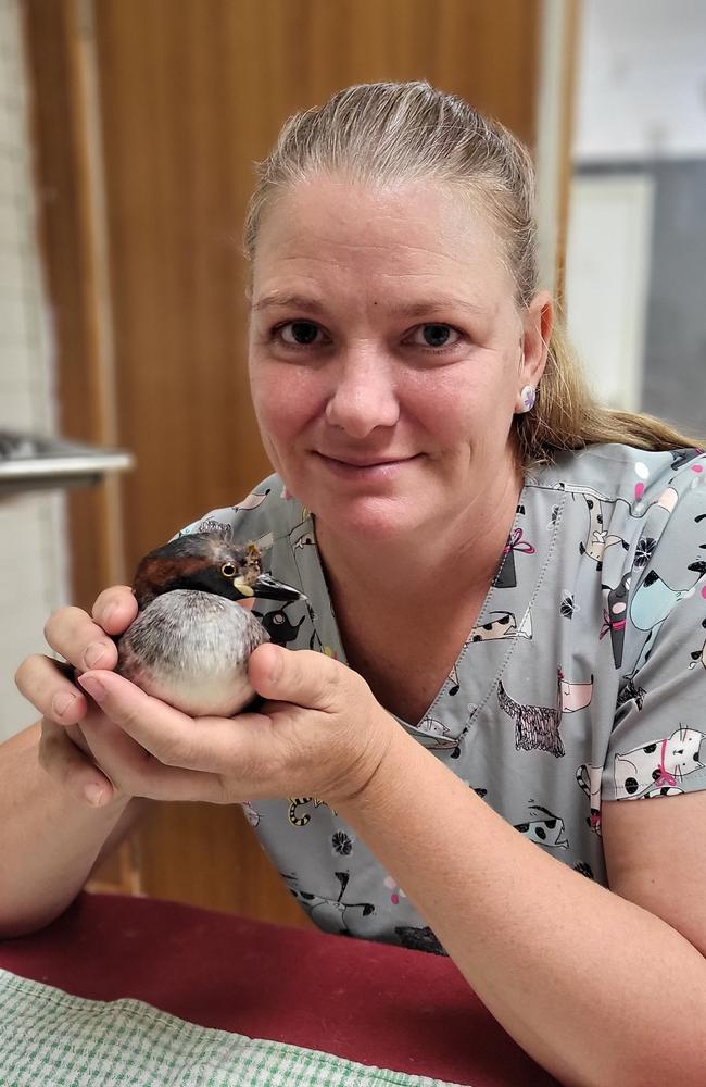 Anja Schmidt from Animals Veterinary Surgery. Photo: supplied.