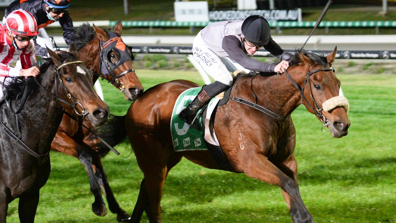 Nordic Pride ridden by Patrick Moloney wins the TAB Long May We Play Sky Heights Stayers Final at Cranbourne Racecourse on May 28, 2021 in Cranbourne, Australia. (Ross Holburt/Racing Photos)