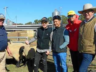 EWE BEAUT: Hendon farmer Josh Milton and Thai farmers Sittichai Jamikorn and Jaranchai Jansuwa, with Tum Wirroon and Harrisville exporter Frazer McFarlane check out some stud suffolk sheep. Picture: Contributed